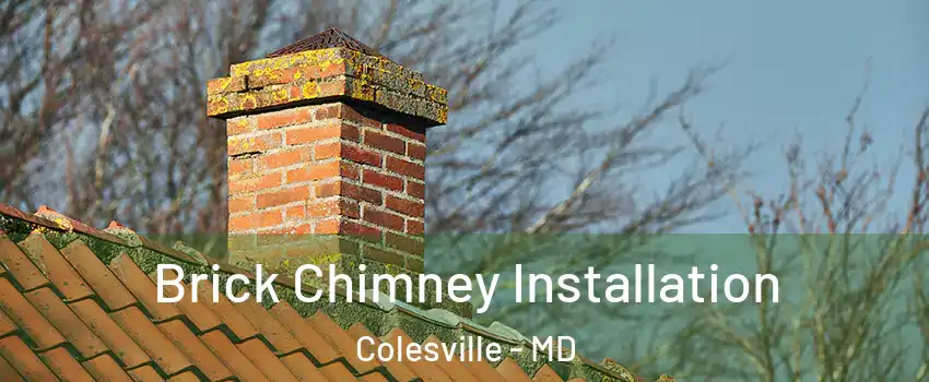  Brick Chimney Installation Colesville - MD