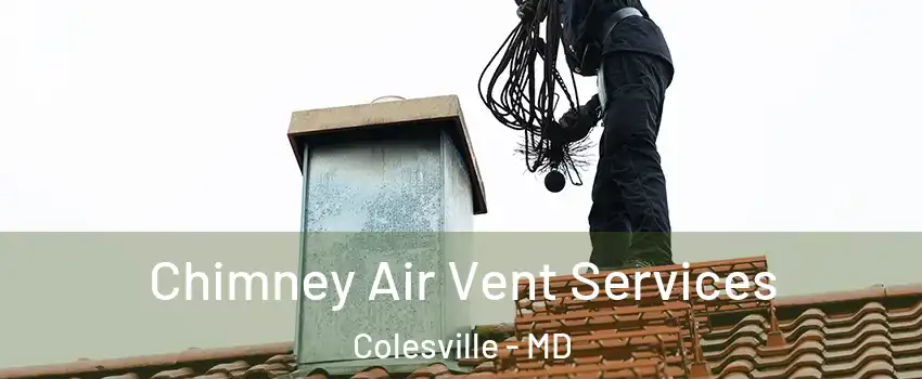  Chimney Air Vent Services Colesville - MD