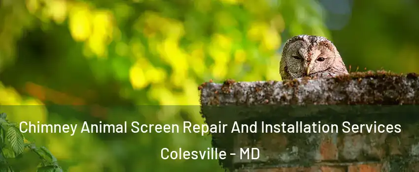 Chimney Animal Screen Repair And Installation Services Colesville - MD
