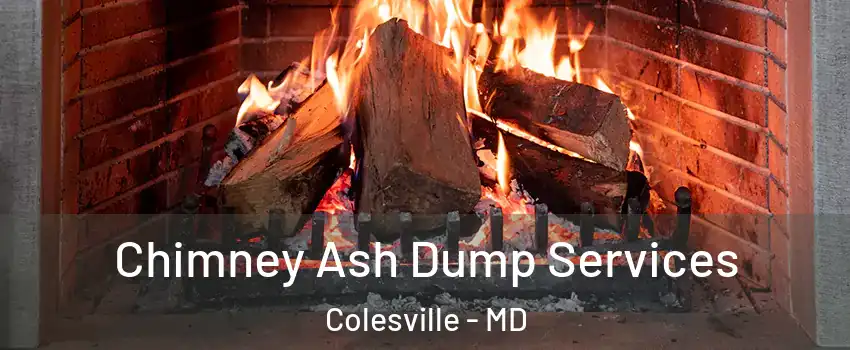  Chimney Ash Dump Services Colesville - MD