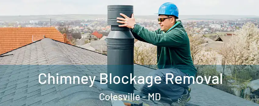  Chimney Blockage Removal Colesville - MD
