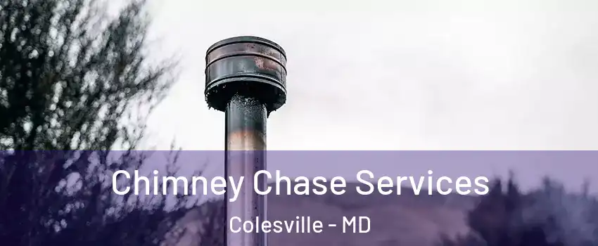  Chimney Chase Services Colesville - MD