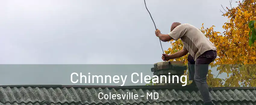  Chimney Cleaning Colesville - MD