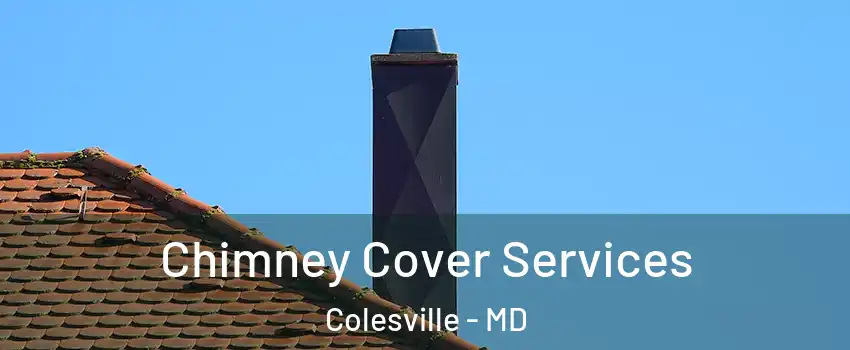  Chimney Cover Services Colesville - MD