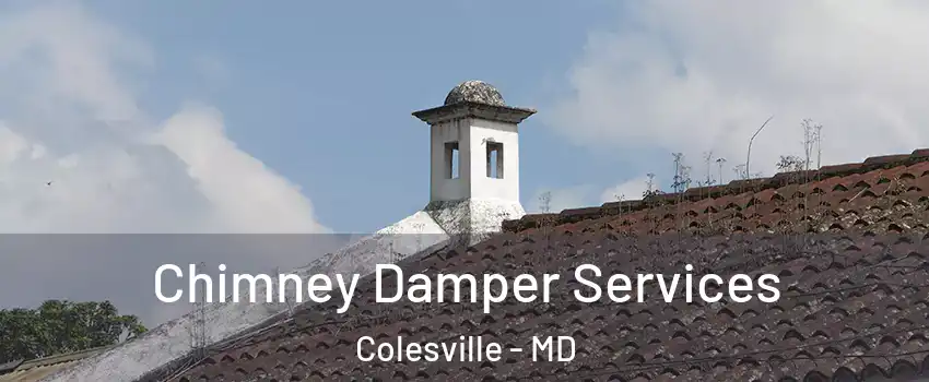  Chimney Damper Services Colesville - MD