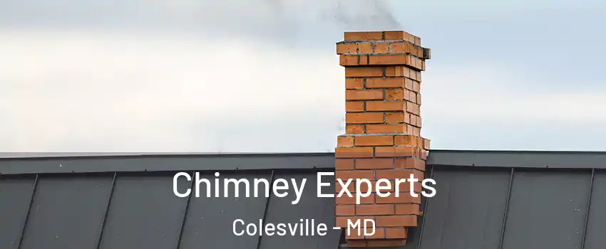 Chimney Experts Colesville - MD