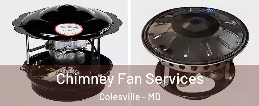  Chimney Fan Services Colesville - MD