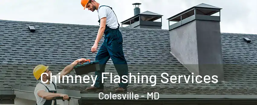 Chimney Flashing Services Colesville - MD