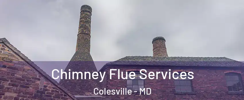  Chimney Flue Services Colesville - MD