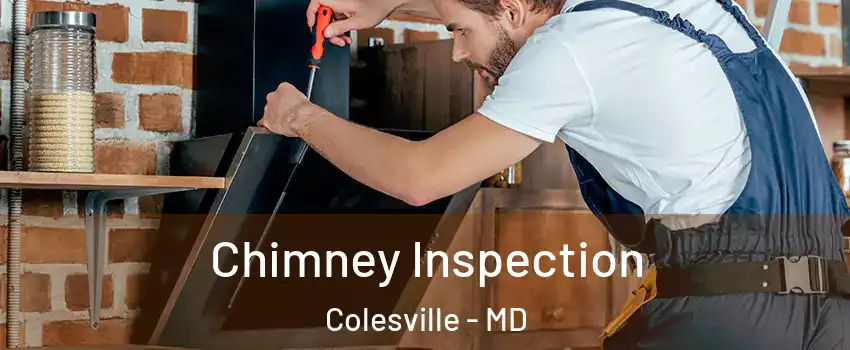  Chimney Inspection Colesville - MD