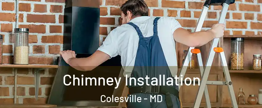  Chimney Installation Colesville - MD