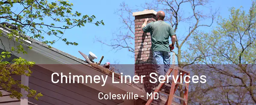  Chimney Liner Services Colesville - MD