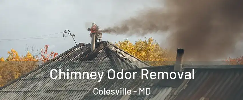  Chimney Odor Removal Colesville - MD