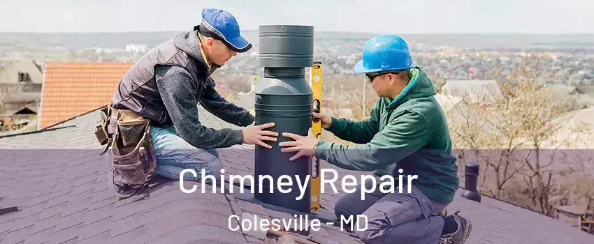  Chimney Repair Colesville - MD