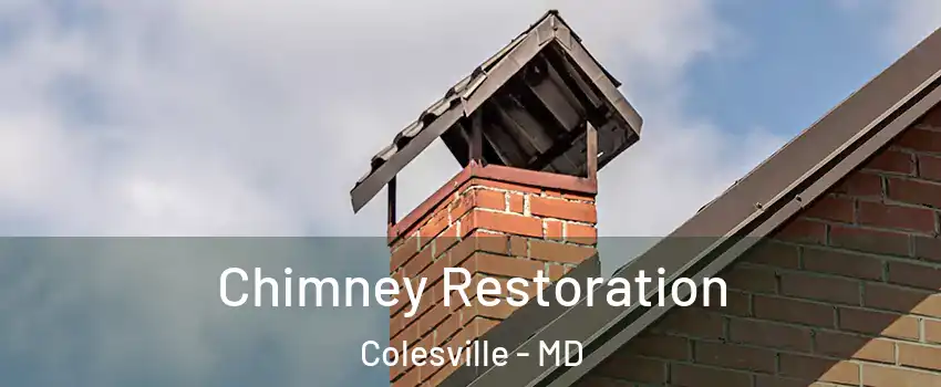  Chimney Restoration Colesville - MD