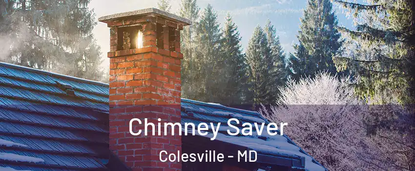  Chimney Saver Colesville - MD