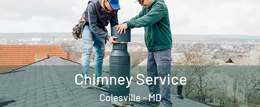  Chimney Service Colesville - MD