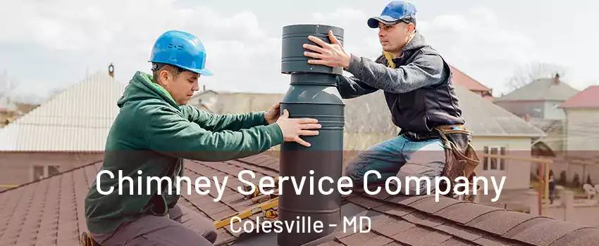  Chimney Service Company Colesville - MD