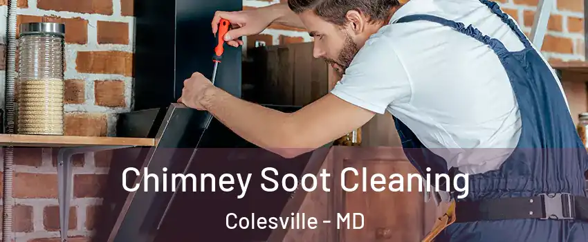 Chimney Soot Cleaning Colesville - MD