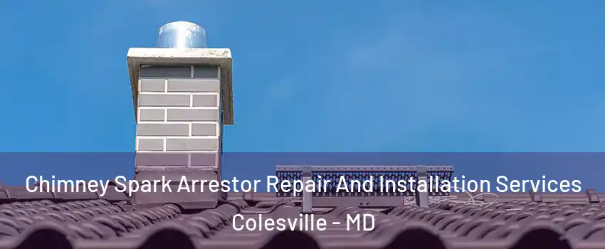  Chimney Spark Arrestor Repair And Installation Services Colesville - MD