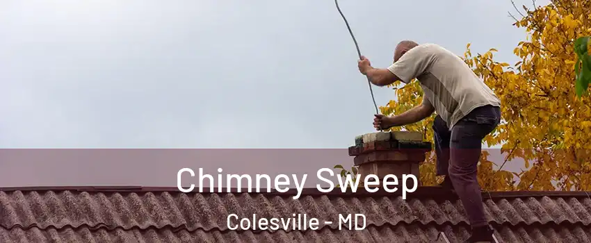  Chimney Sweep Colesville - MD