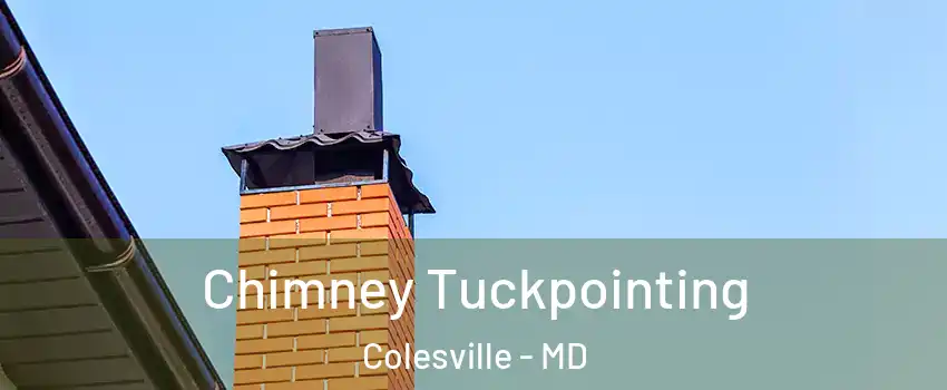  Chimney Tuckpointing Colesville - MD