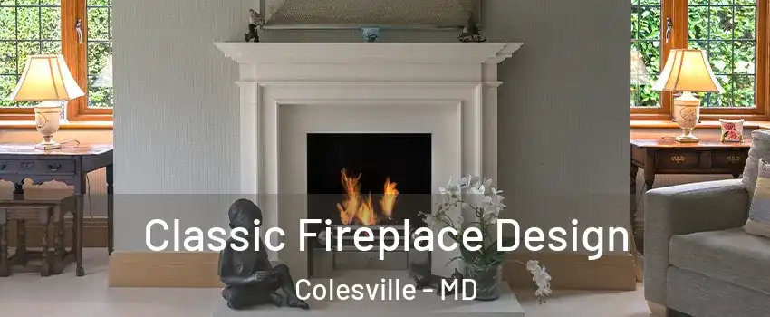  Classic Fireplace Design Colesville - MD