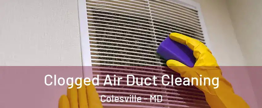  Clogged Air Duct Cleaning Colesville - MD