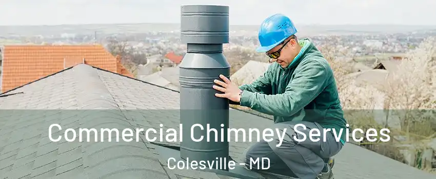  Commercial Chimney Services Colesville - MD