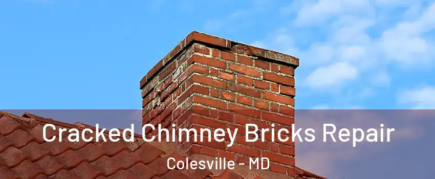  Cracked Chimney Bricks Repair Colesville - MD