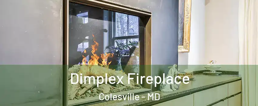  Dimplex Fireplace Colesville - MD