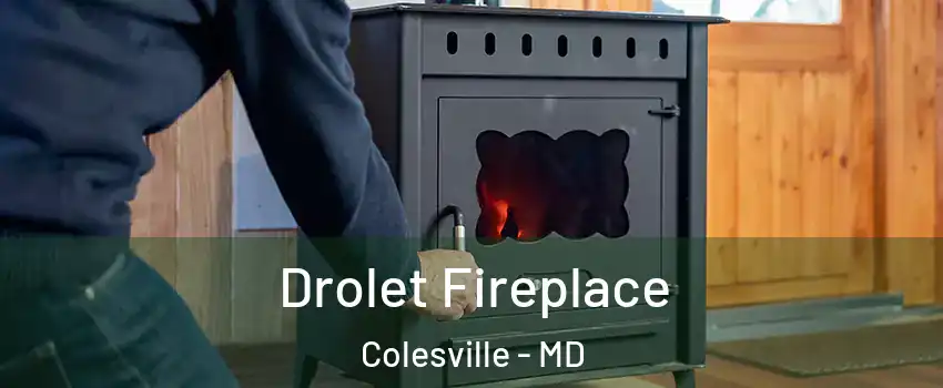  Drolet Fireplace Colesville - MD
