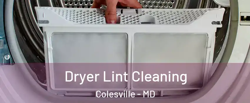  Dryer Lint Cleaning Colesville - MD