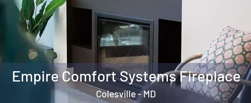  Empire Comfort Systems Fireplace Colesville - MD