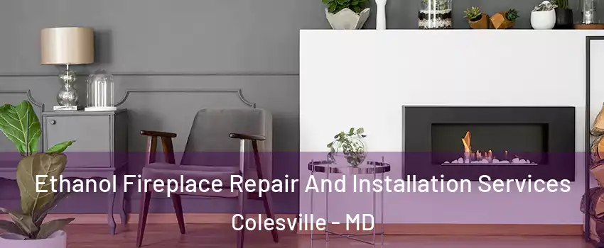  Ethanol Fireplace Repair And Installation Services Colesville - MD