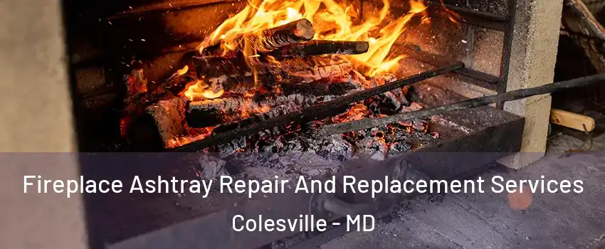  Fireplace Ashtray Repair And Replacement Services Colesville - MD