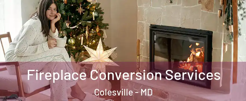  Fireplace Conversion Services Colesville - MD