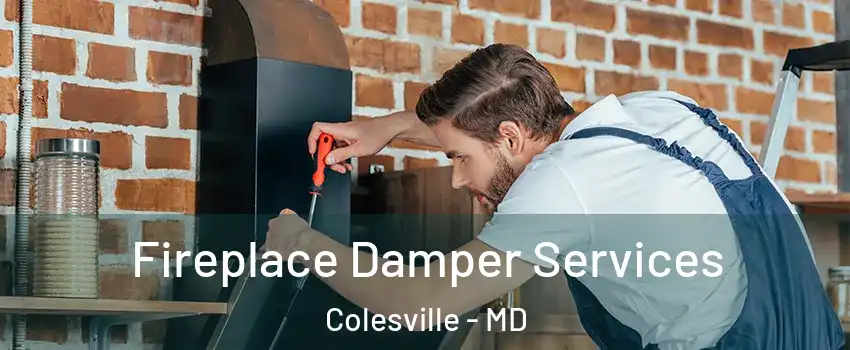  Fireplace Damper Services Colesville - MD