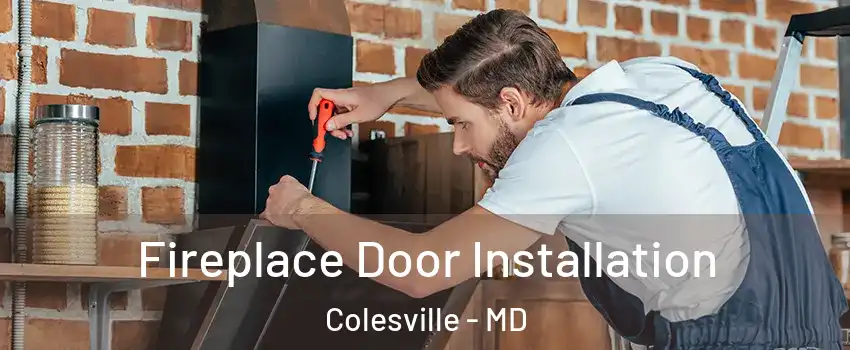  Fireplace Door Installation Colesville - MD