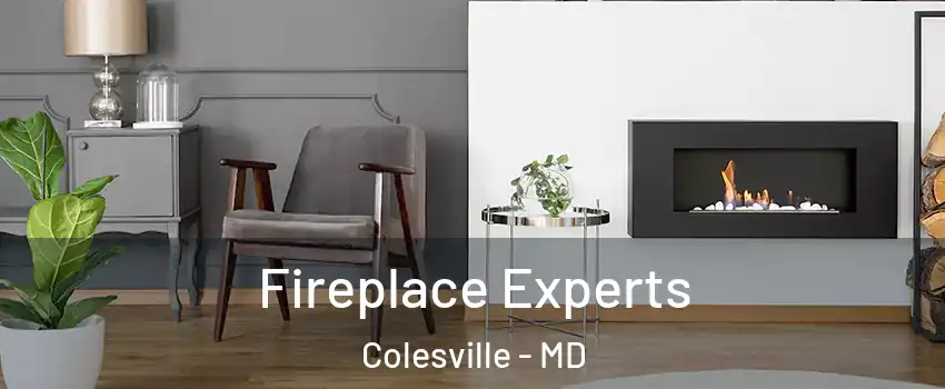  Fireplace Experts Colesville - MD