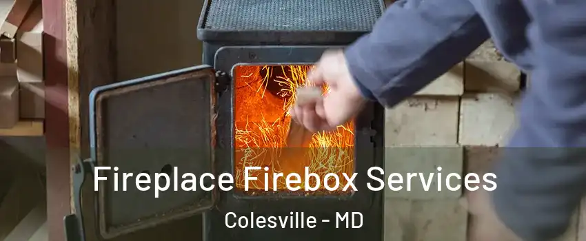  Fireplace Firebox Services Colesville - MD