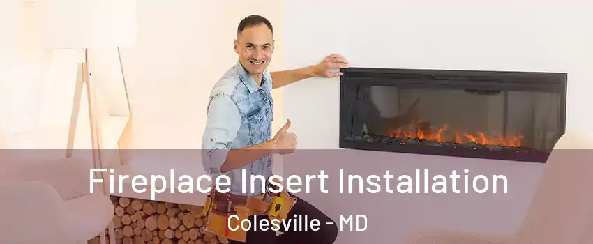  Fireplace Insert Installation Colesville - MD