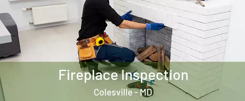  Fireplace Inspection Colesville - MD