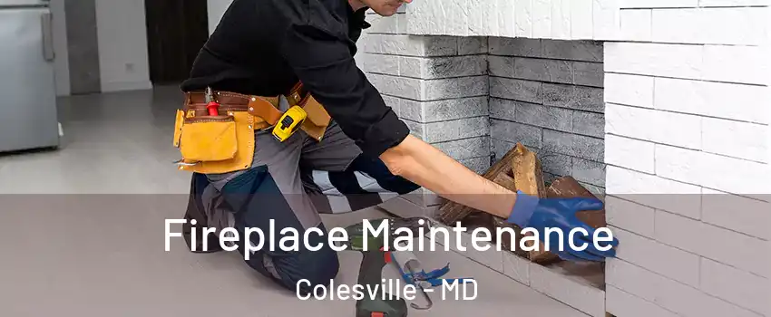  Fireplace Maintenance Colesville - MD