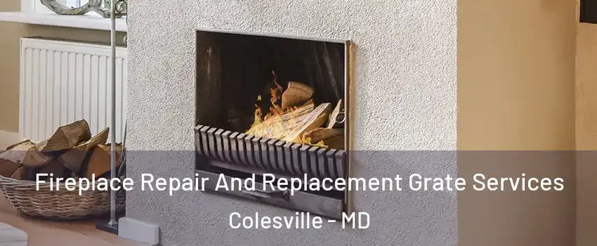  Fireplace Repair And Replacement Grate Services Colesville - MD