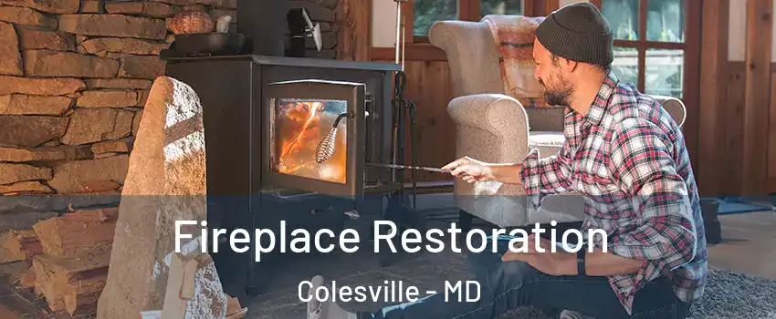  Fireplace Restoration Colesville - MD