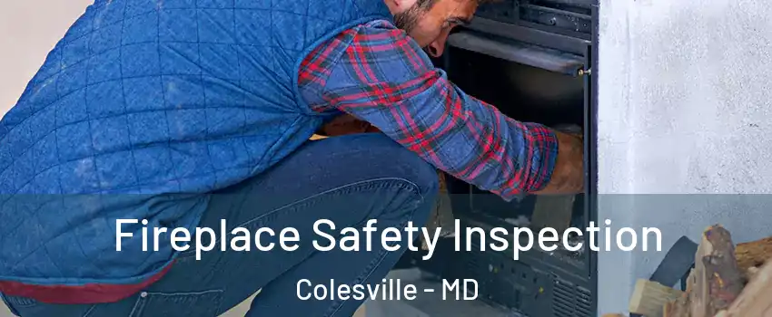  Fireplace Safety Inspection Colesville - MD