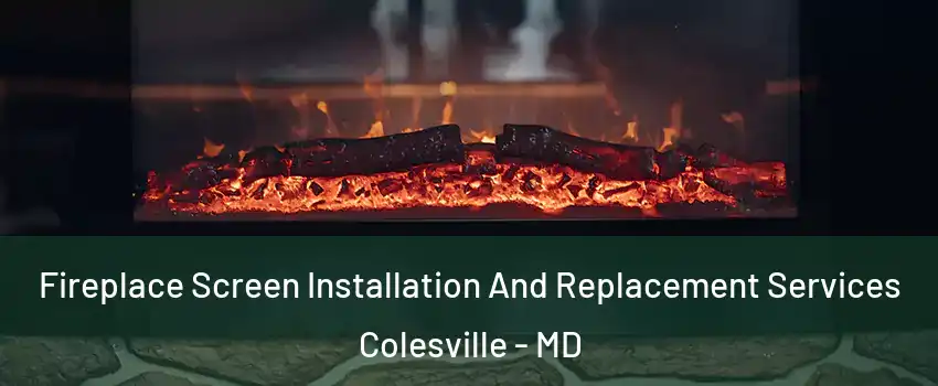  Fireplace Screen Installation And Replacement Services Colesville - MD