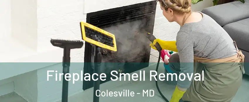  Fireplace Smell Removal Colesville - MD