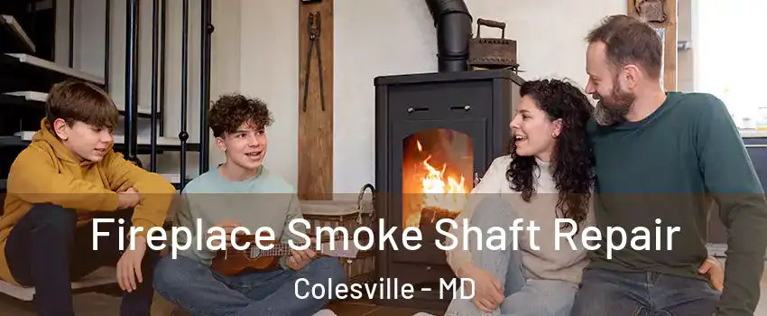  Fireplace Smoke Shaft Repair Colesville - MD